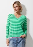 Stripe Vneck knit